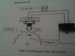 CẤU TẠO CỦA HỆ THỐNG PHUN XĂNG ĐIỆN TỬ CƠ BẢN: Cảm biến vị trí cốt máy CPS      
