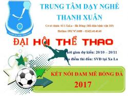 THỂ LỆ GIẢI BÓNG ĐÁ 