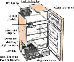 Đặc điểm cấu tạo của tủ lạnh